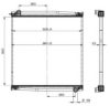 NRF 509770 Radiator, engine cooling